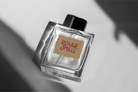 Swirly Note Font Dm Letter Studio 