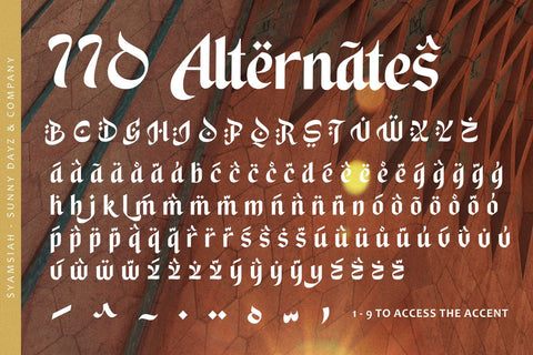 Syamsiah - Arabic Display Font Font Four Lines Std. 