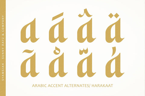 Syamsiah - Arabic Display Font Font Four Lines Std. 