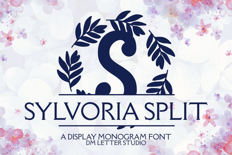 Sylvoria Split Monogram Font Dm Letter Studio 