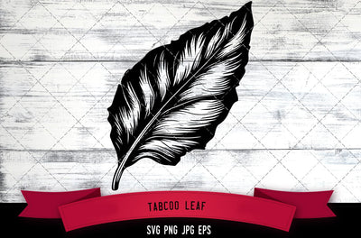 Tabacco Leaf SVG, Tobacco Clipart SVG Loveleen Kaur 