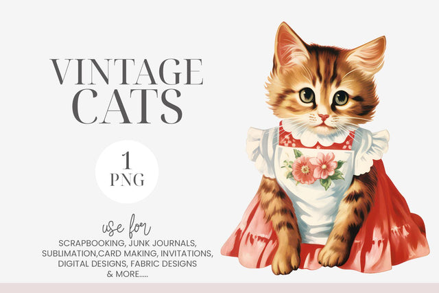 Tabby Kitten Wearing A Dress Clipart PNG Sublimation BijouBay 