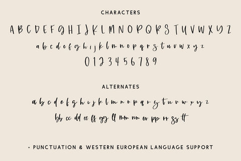 Tallahassee Script Font Beck McCormick 