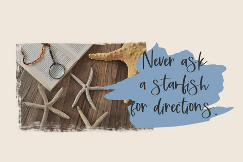 Tallahassee Script Font Beck McCormick 