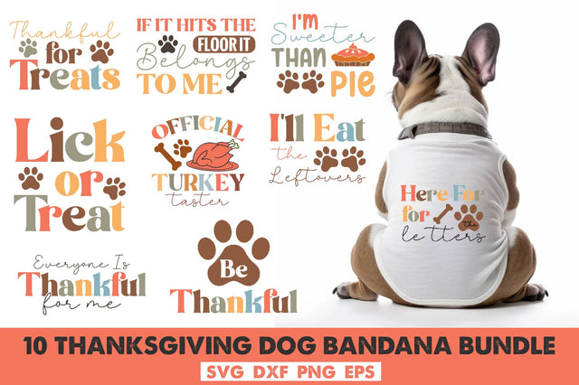 Thanksgiving Dog Bandana bundle SVG Rupkotha 