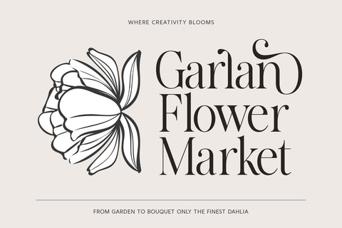 The Avenue Editorial Font Zane Studio55 