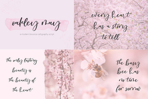 The Bounce Calligraphy Font Bundle Font Beck McCormick 
