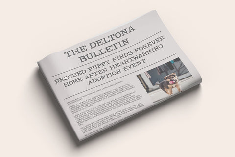 The Bulletin Typewriter Font Font Beck McCormick 