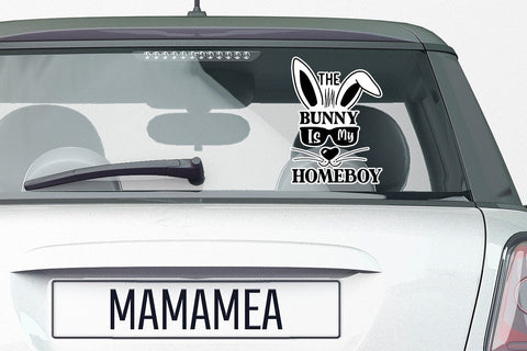 The Bunny Is My Homeboy SVG Angelina750 