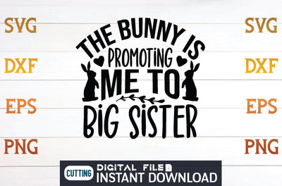 the bunny is promoting me to big sister svg SVG designer krishna 