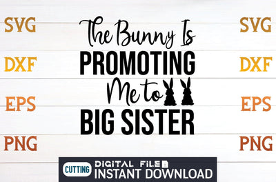 The Bunny Is Promoting Me to Big Sister svg SVG designer krishna 