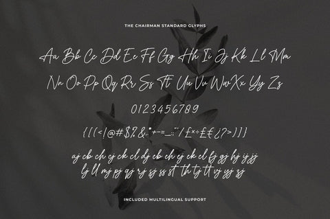 The Chairman Signature Font Font Heinzel Studio 