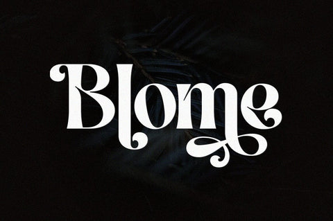 The Gillery - Modern Serif Typeface Font Zane Studio55 