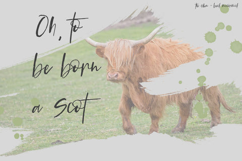 The Glen Brush Script Font Beck McCormick 