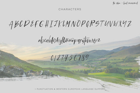 The Glen Brush Script Font Beck McCormick 