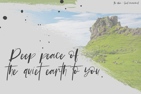 The Glen Brush Script Font Beck McCormick 