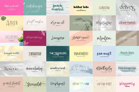 The Handlettered Font Bundle Font Beck McCormick 
