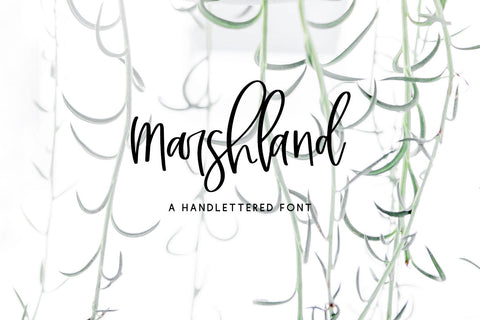 The Handwriting Font Bundle, Volume 5 Font Beck McCormick 