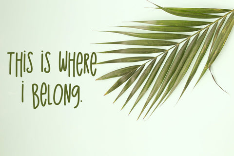 The Island Sans Font Font Beck McCormick 