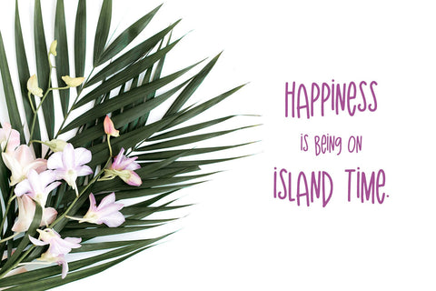 The Island Sans Font Font Beck McCormick 