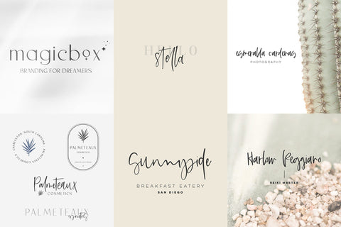 The Logo and Branding Font Bundle Font Beck McCormick 