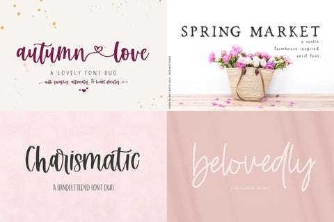 The Logo and Branding Font Bundle Font Beck McCormick 