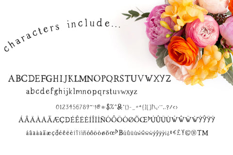 The Market Duo - Rustic Farmhouse Sans & Serif Font Beck McCormick 