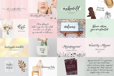 The Painted Banner Font Bundle Font Beck McCormick 