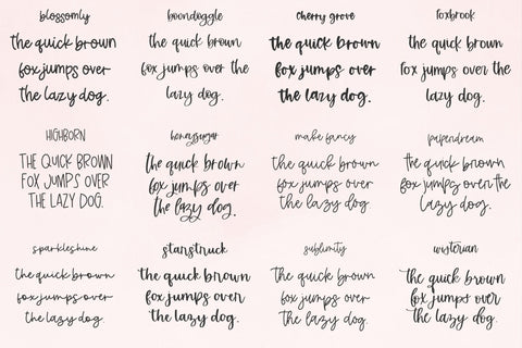 The Planner Font Bundle Volume 2 Font Beck McCormick 