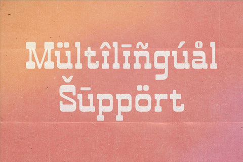 The Rockers - Retro Serif Font Font studioalmeera 