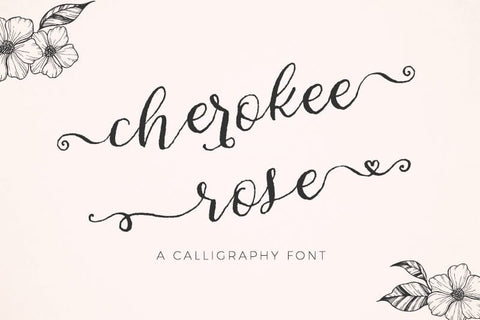 The Rustic Font Bundle Font Beck McCormick 