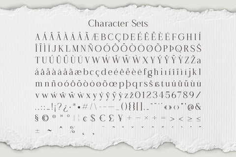 The Spectra - Modern & Elegant Serif Font Font studioalmeera 