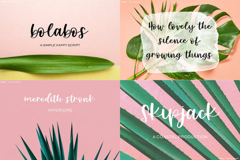 The Spring Font Bundle Font Beck McCormick 