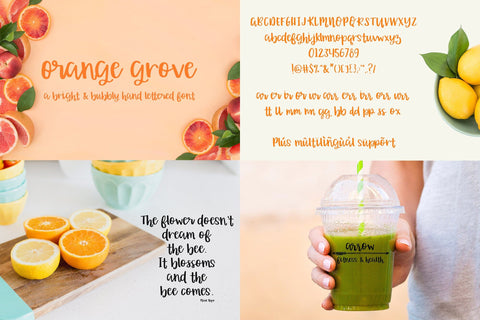 The Summer Font Bundle Font Beck McCormick 