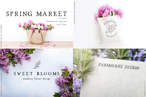 The Versatile Serif Font Mini Bundle Font Beck McCormick 