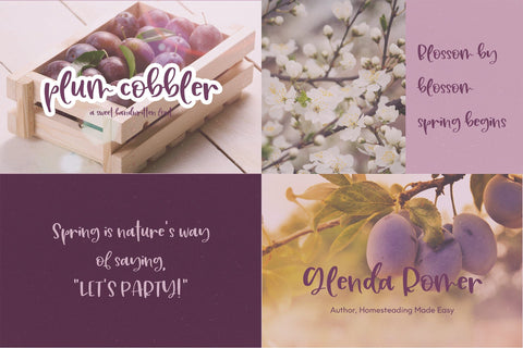 The Winter Font Bundle Font Beck McCormick 