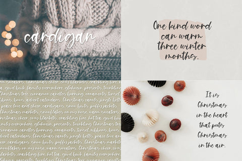 The Winter Font Bundle Font Beck McCormick 