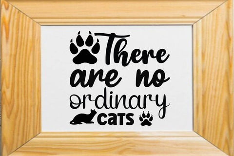There are no ordinary cats-01 SVG Angelina750 