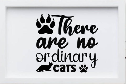 There are no ordinary cats-01 SVG Angelina750 