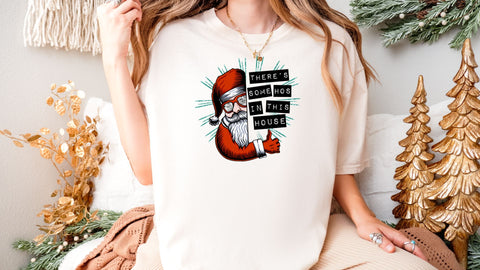 There's Some Hos In This House PNG, Funny Christmas Sublimation, Retro Santa PNG Sublimation So Fontsy VIP Design Shop 