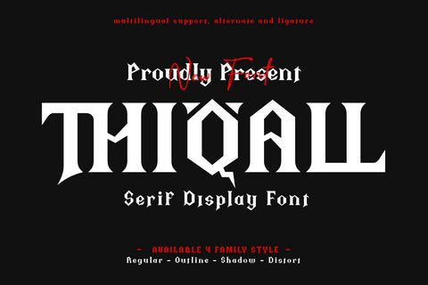 Thiqall - Serif Display Font Font twinletter 