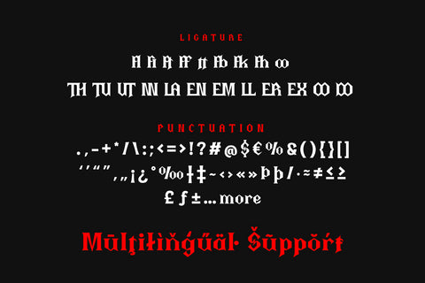 Thiqall - Serif Display Font Font twinletter 