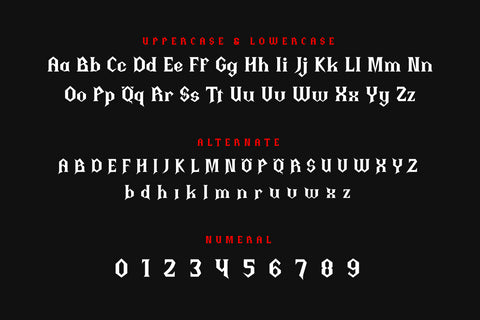Thiqall - Serif Display Font Font twinletter 