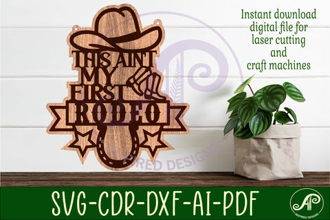 This ain't my first rodeo layered wall art sign, SVG file. SVG APInspireddesigns 