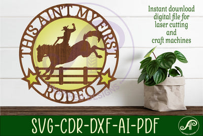 This ain't my first rodeo layered wall art sign, SVG file SVG APInspireddesigns 