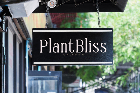 Timeless Silvera - Alternate Serif Font Font Letterena Studios 