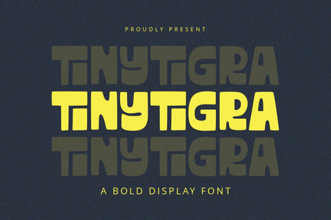 TinyTigra - Display Font Font Alpaprana Studio 
