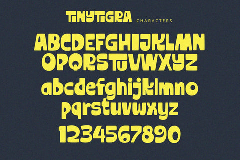 TinyTigra - Display Font Font Alpaprana Studio 