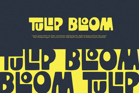 TinyTigra - Display Font Font Alpaprana Studio 