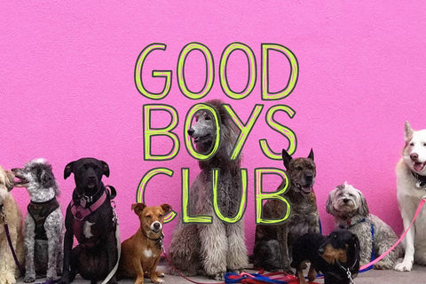 Tired Club - Trendy Font Trio Font KA Designs 